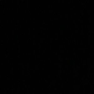 Meet your Posher, Lizbeth